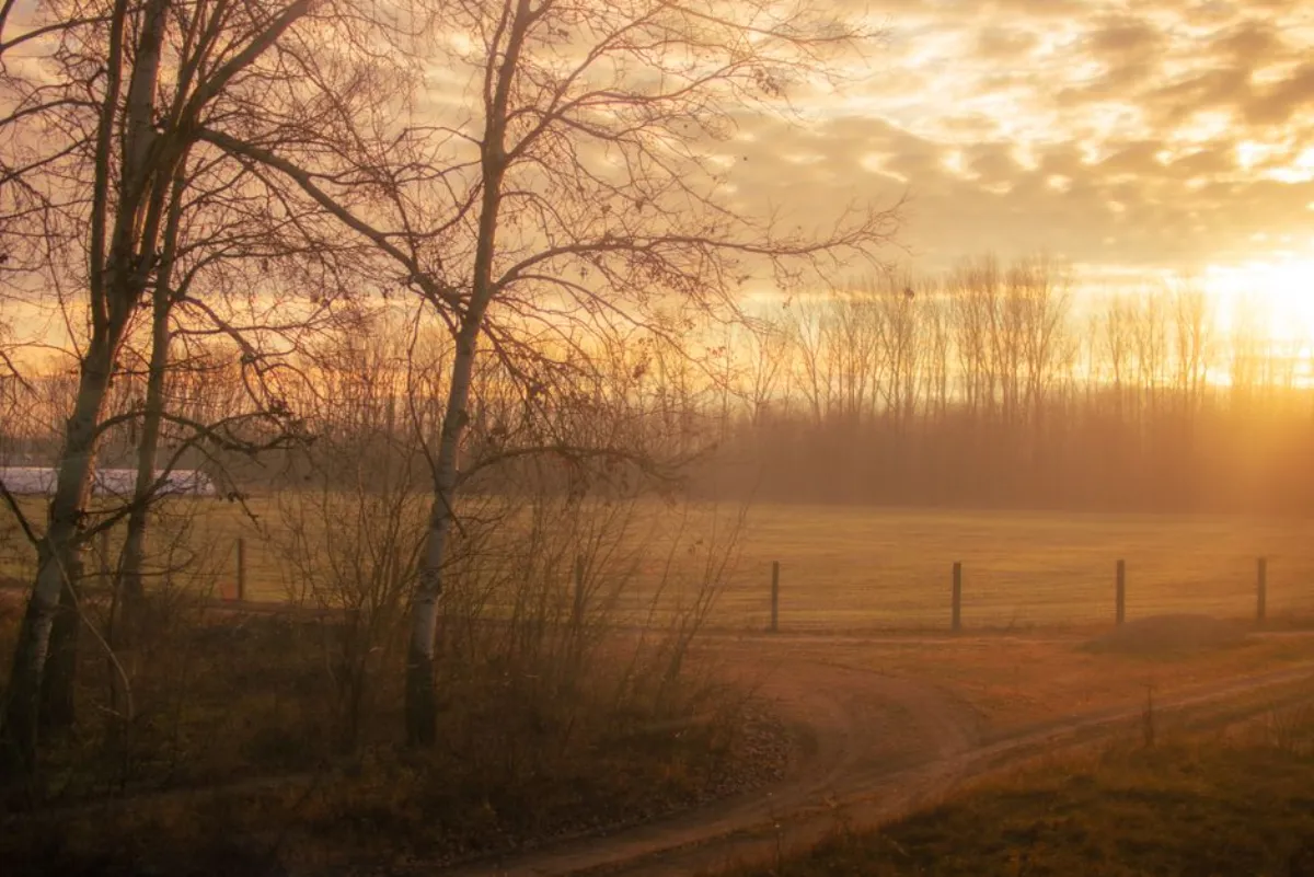morning weather